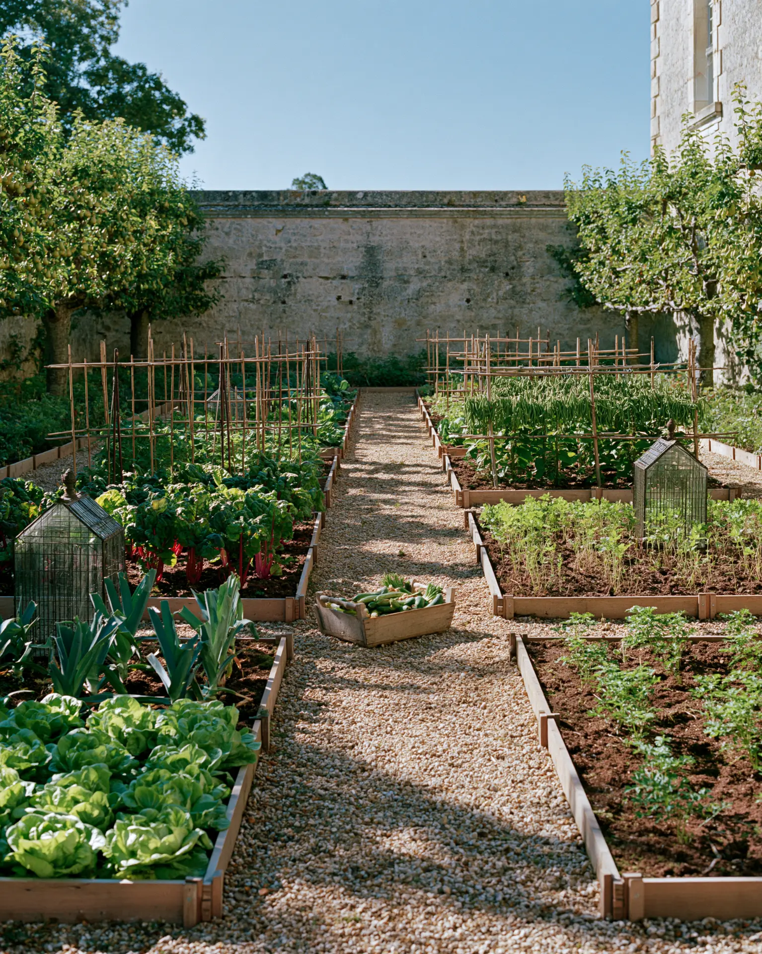 Walled kitchen garden